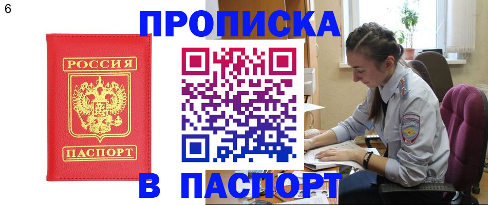 прописка гарантия в Светлогорске